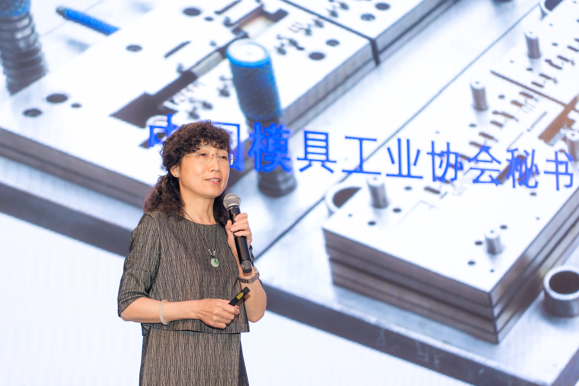 模具研討|“智造”落地，思瑞三坐標助力“數(shù)字北侖”建設(圖2)